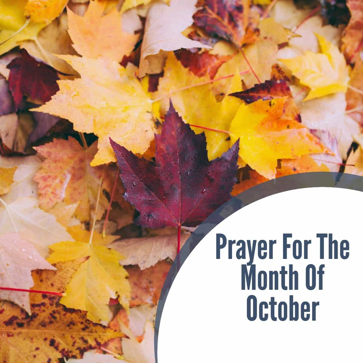 Prayer For The Month Of October